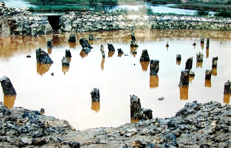 Quang Ninh urged to promote Bach Dang historical relic  - ảnh 1